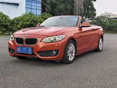 BMW 2 Series (Import) 2015