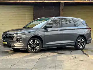 Wuling Motors Wuling Victory 2022