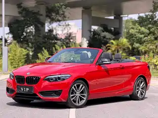 BMW 2 Series (Import) 2017