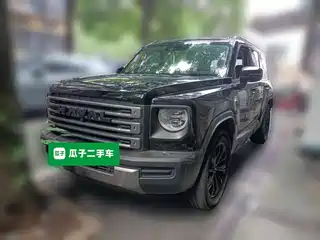 Haval Meng Long NEV 2024