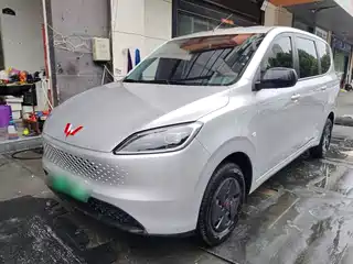 Wuling Motors Wuling Hongguang New Energy 2025