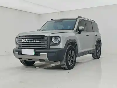 Haval Meng Long NEV 2023