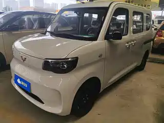 Wuling Motors Zhiguang NEV 2025