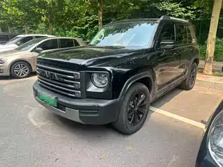 Haval Meng Long NEV 2024