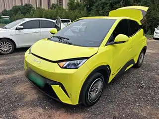 BYD Seagull 2024