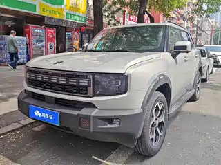 Jetour Shanhai Jetour Shanhai T1 2025