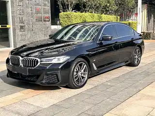 BMW 5 Series New Energy 2020