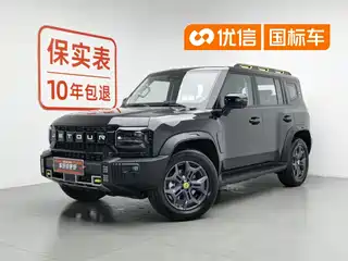 Jetour Shanhai Jetour Shanhai T2 2024