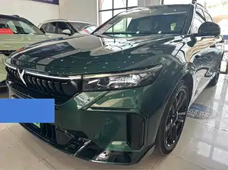 Voyah Auto FREE 2024