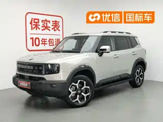 Jetour Shanhai Jetour Shanhai T1 2024