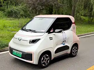 Wuling Motors Wuling NanoEV 2021