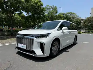 Voyah Auto Dreamer 2024