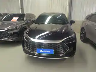 BYD Tang New Energy 2025