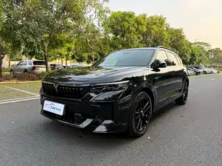 Voyah Auto FREE 2024