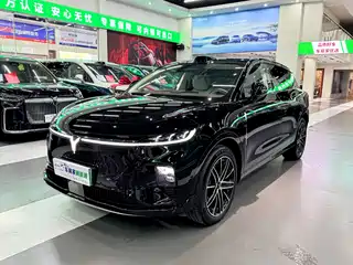 Voyah Auto Voyah Zhiyin 2025