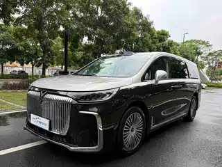 Voyah Auto Dreamer 2024