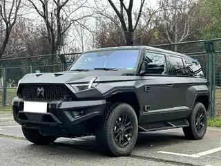 Mengshi 917 2023