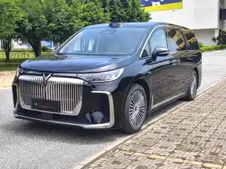 Voyah Auto Dreamer 2025