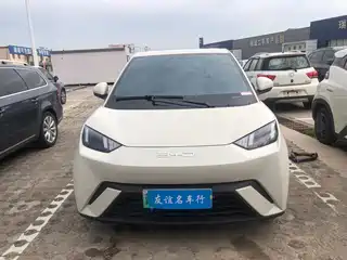 BYD Seagull 2024