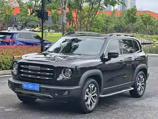 Haval Big Dog 2020
