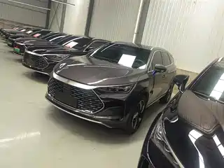BYD Tang New Energy 2024
