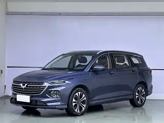 Wuling Motors Wuling Victory 2020