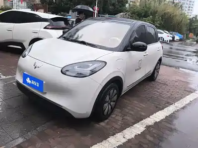 Wuling Motors Bingo 2024