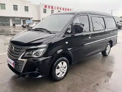 Dongfeng Fengxing Lingzhi 2023