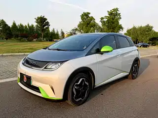BYD Dolphin 2022