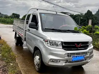 Wuling Motors Rongguang New Truck 2022
