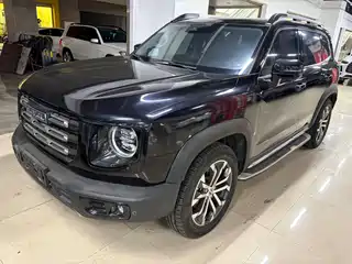 Haval Big Dog 2020