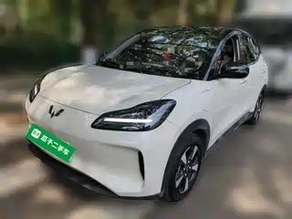 Wuling Motors Wuling Binguo PLUS 2024