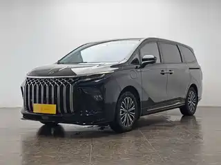Dongfeng Fengxing Starlight V9 2024