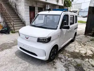 Wuling Motors Wuling Zhiguang NEV 2025