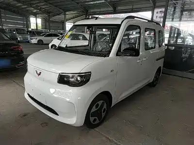 Wuling Motors Wuling Zhiguang NEV 2025