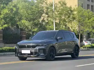 Voyah Auto FREE 2024