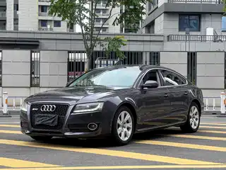 Audi A5 (Import) 2010