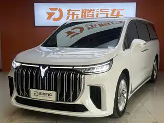 Voyah Auto Dreamer 2023