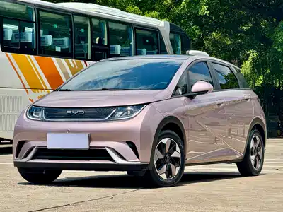 BYD Dolphin 2024