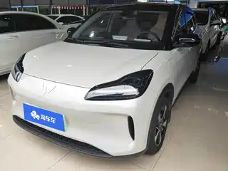 Wuling Motors Wuling Binguo PLUS 2024