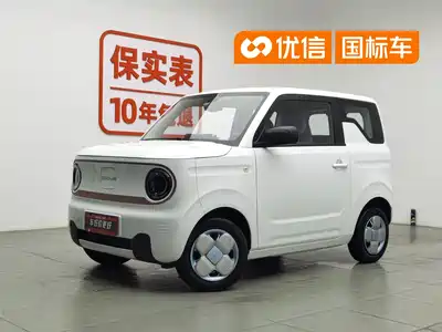Geely Galaxy Panda 2024