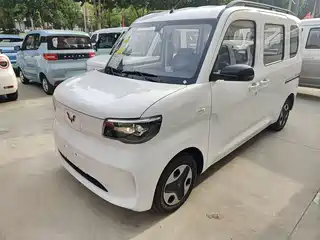 Wuling Motors Wuling Zhiguang NEV 2025