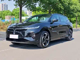 Voyah Auto Voyah Zhiyin 2024