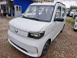 Wuling Motors Wuling Zhiguang NEV 2025