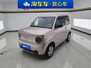 Geely Galaxy Panda 2024