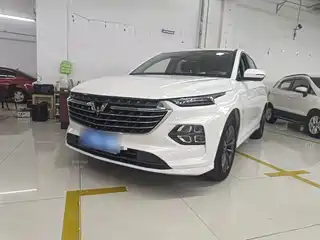 Wuling Motors Wuling Victory 2020