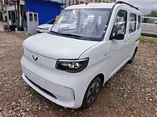 Wuling Motors Zhiguang NEV 2025