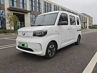 Wuling Motors Zhiguang NEV 2025