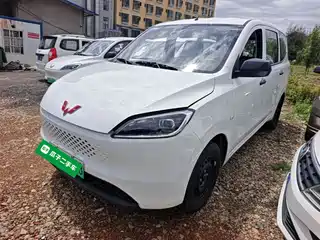 Wuling Motors Wuling Hongguang New Energy 2025