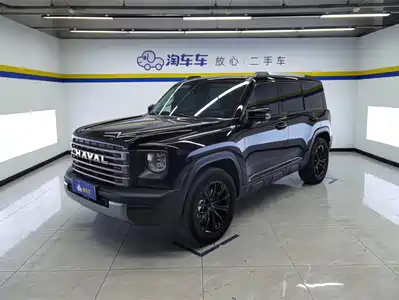 Haval Meng Long NEV 2024